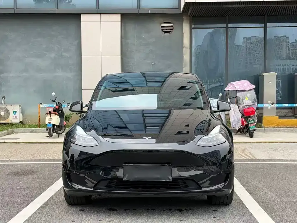 Tesla Model Y — фото 8