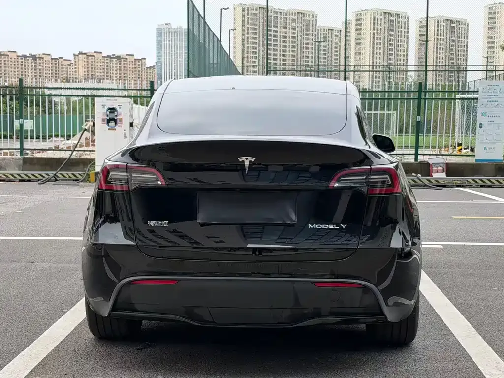Tesla Model Y — фото 4