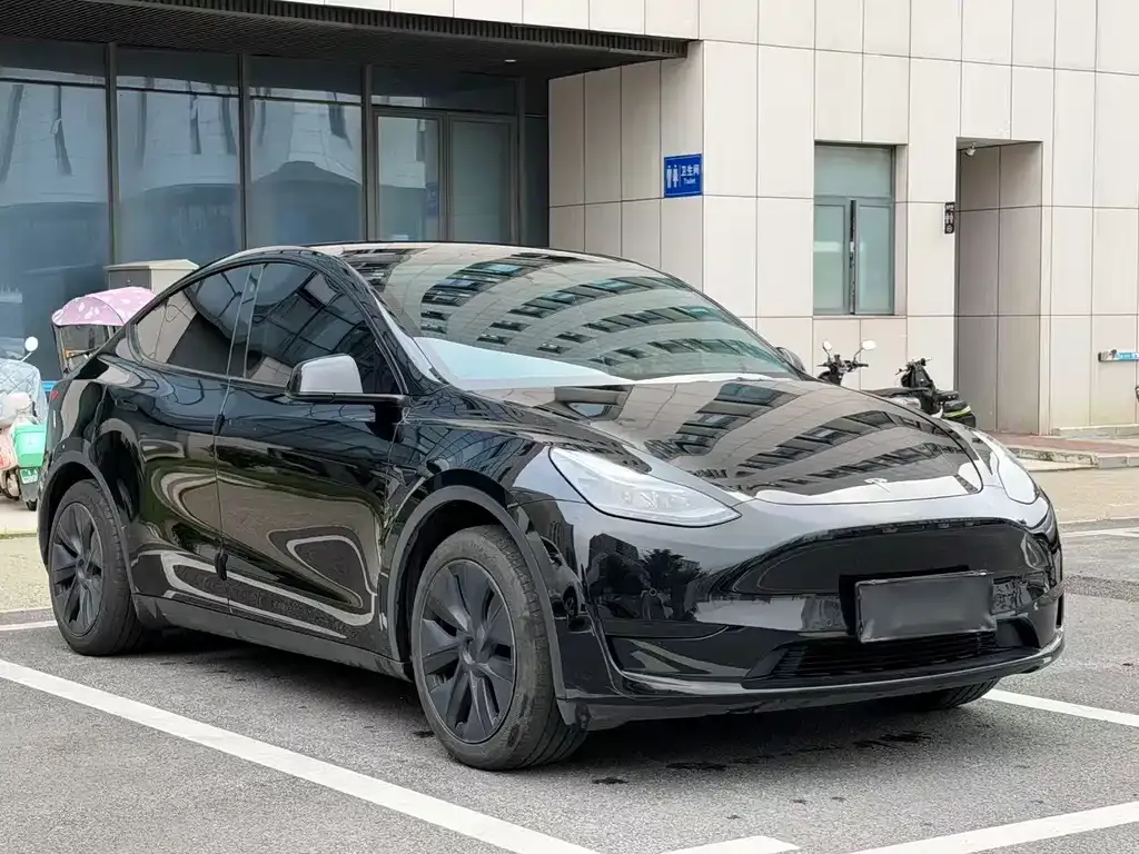 Tesla Model Y — фото 2
