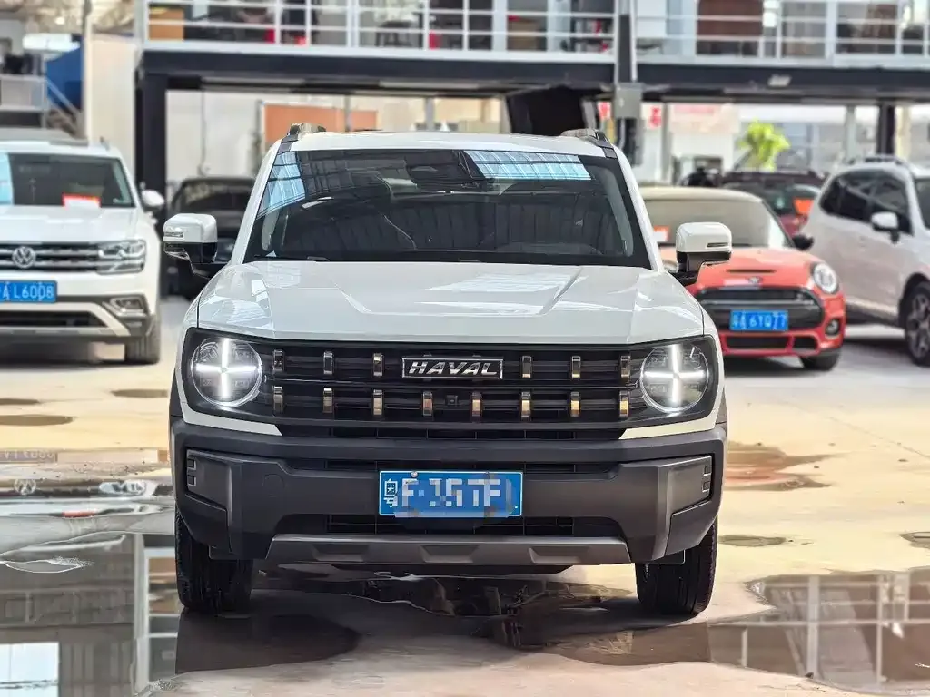 Haval Cool Dog — фото 3