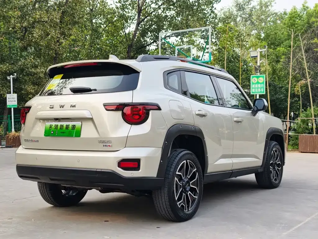 Haval Big Dog PLUS New Energy — фото 10