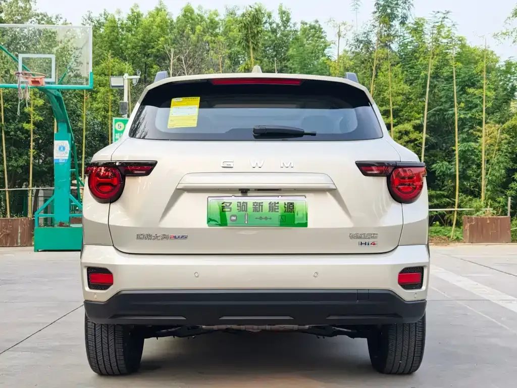 Haval Big Dog PLUS New Energy — фото 6
