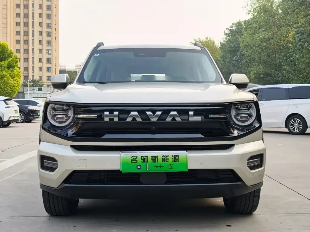 Haval Big Dog PLUS New Energy — фото 7