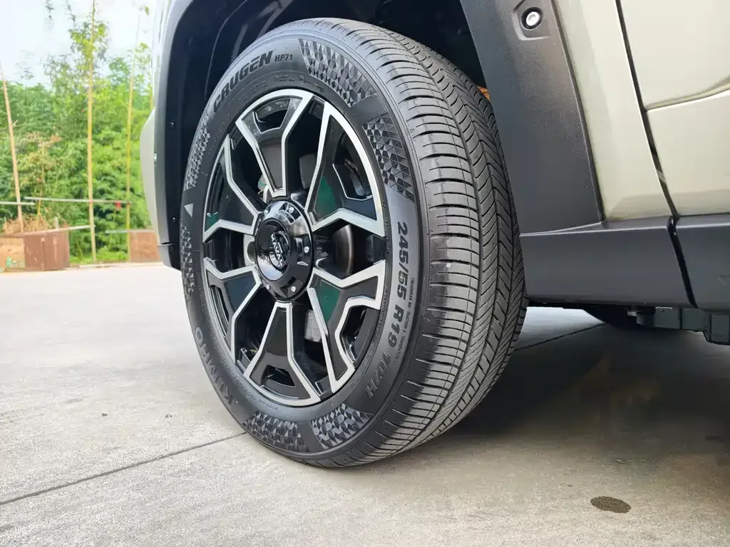 Haval Big Dog PLUS New Energy — фото 8