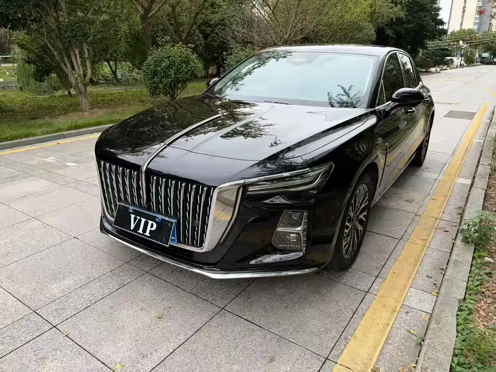 Hongqi H5 — фото 10