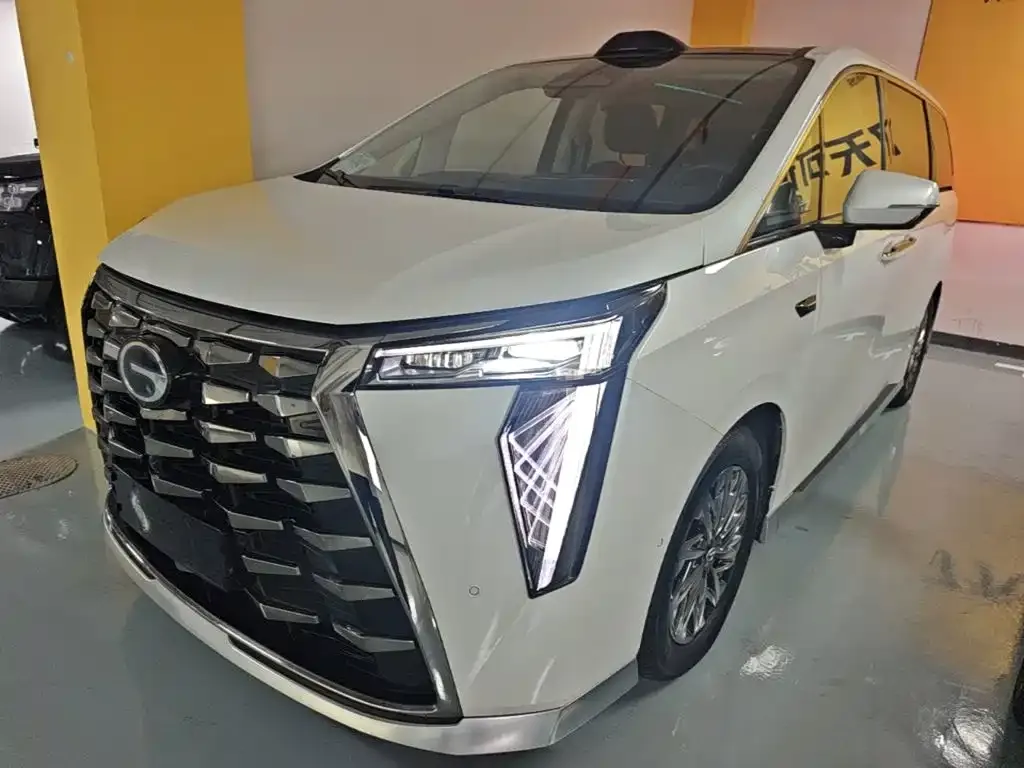 GAC Motor Trumpchi Xiangwang M8 — фото 8