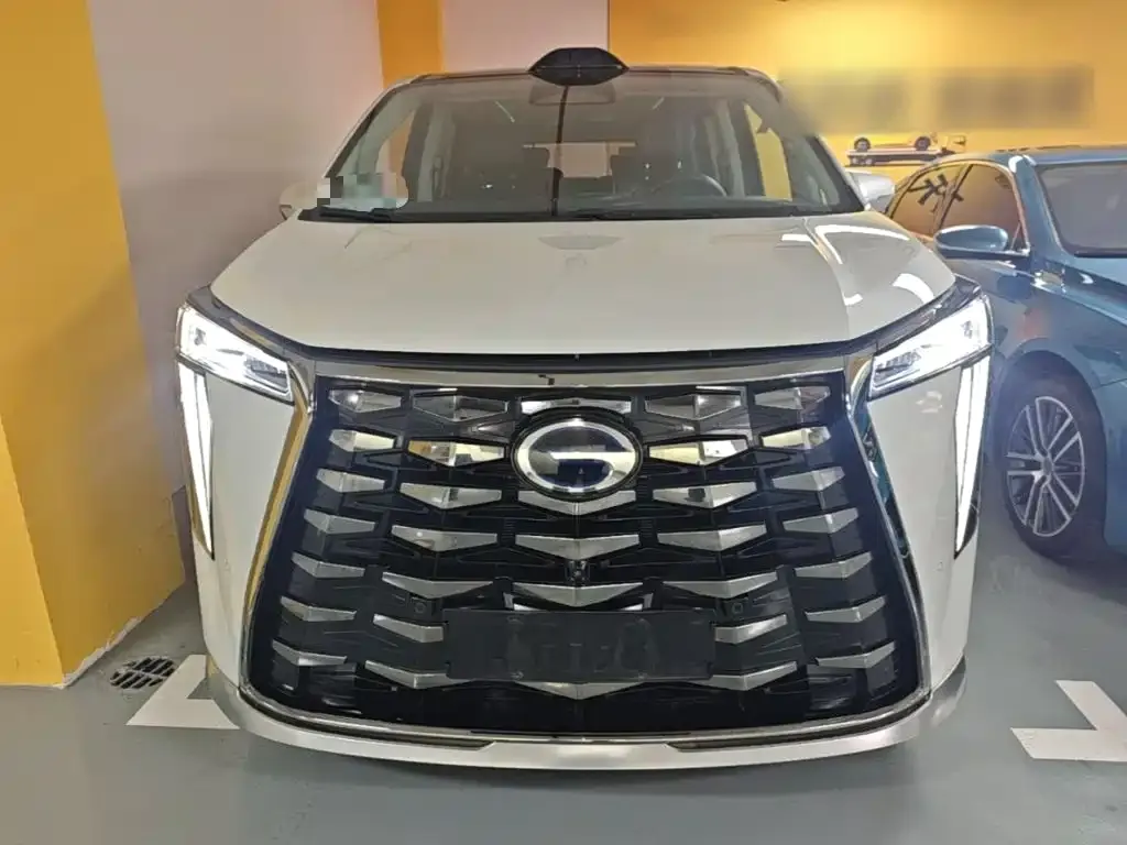GAC Motor Trumpchi Xiangwang M8 — фото 2