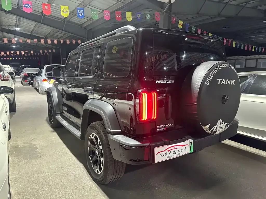 Tank 300 New Energy — фото 9
