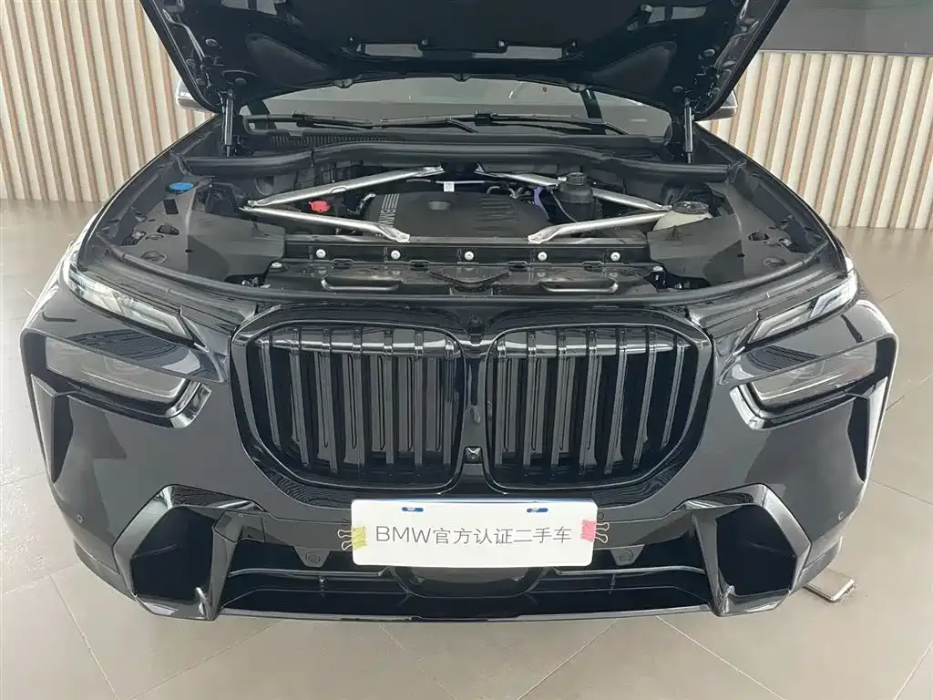BMW X7 — фото 2