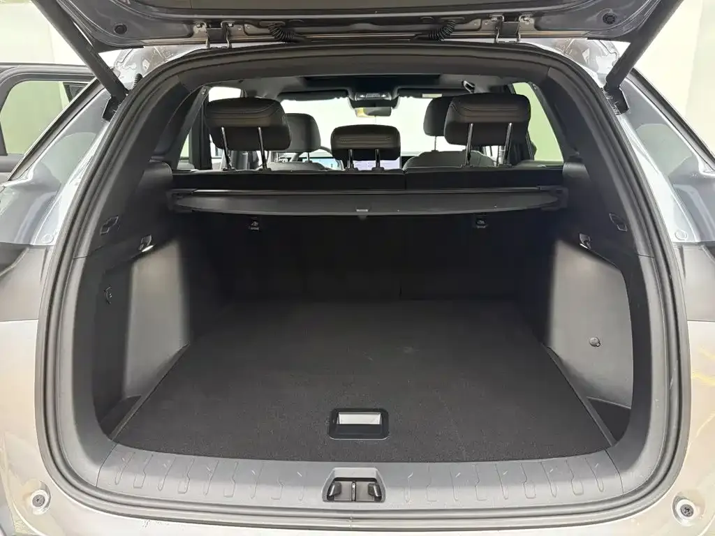 BYD L DM-i — фото 3