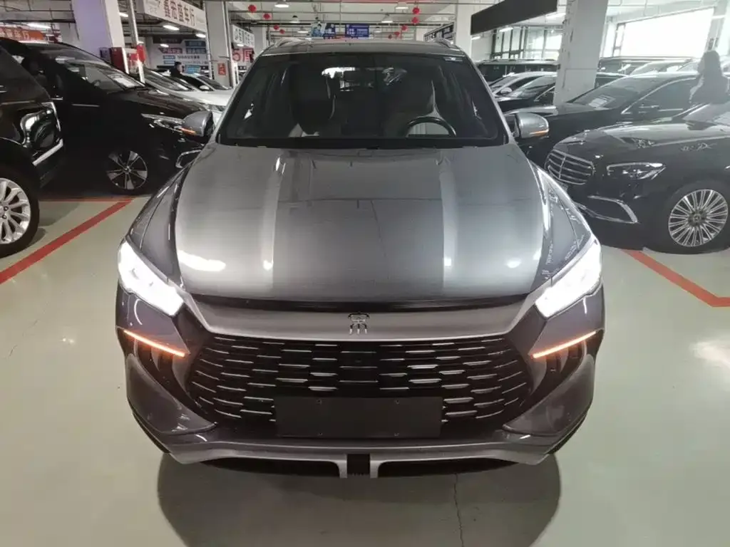BYD Pro New Energy — фото 7