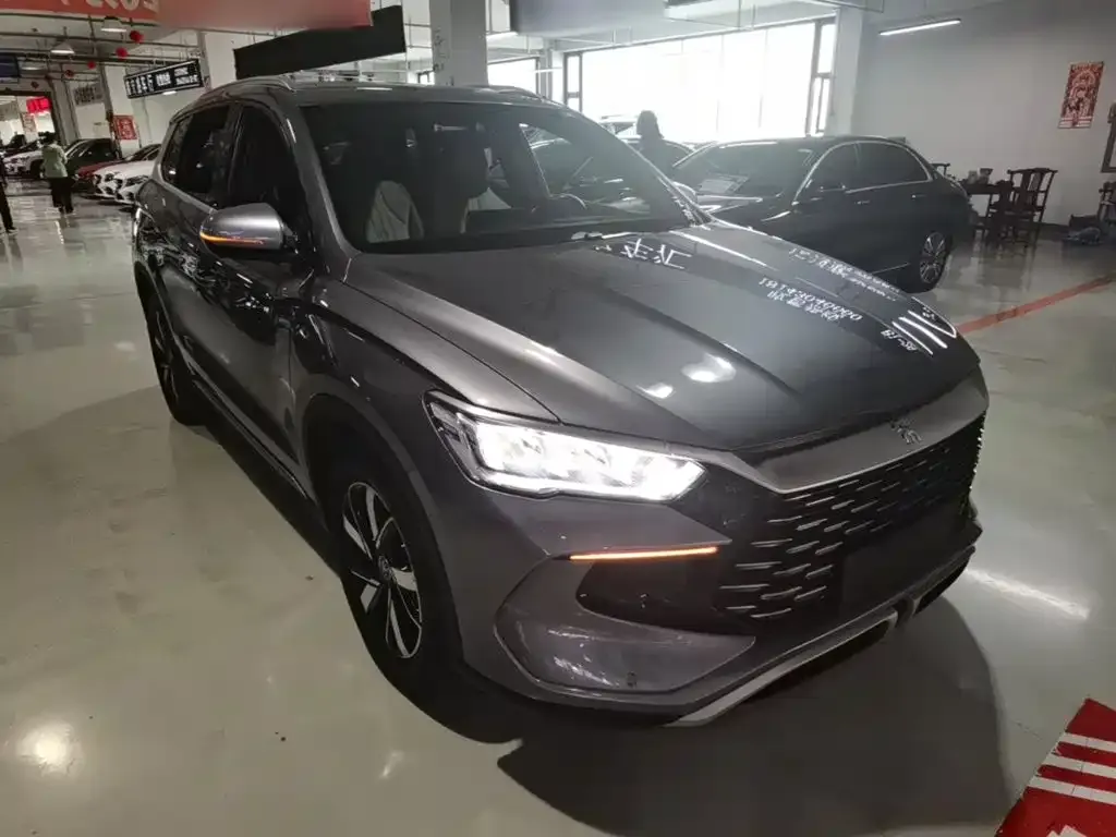 BYD Pro New Energy — фото 5