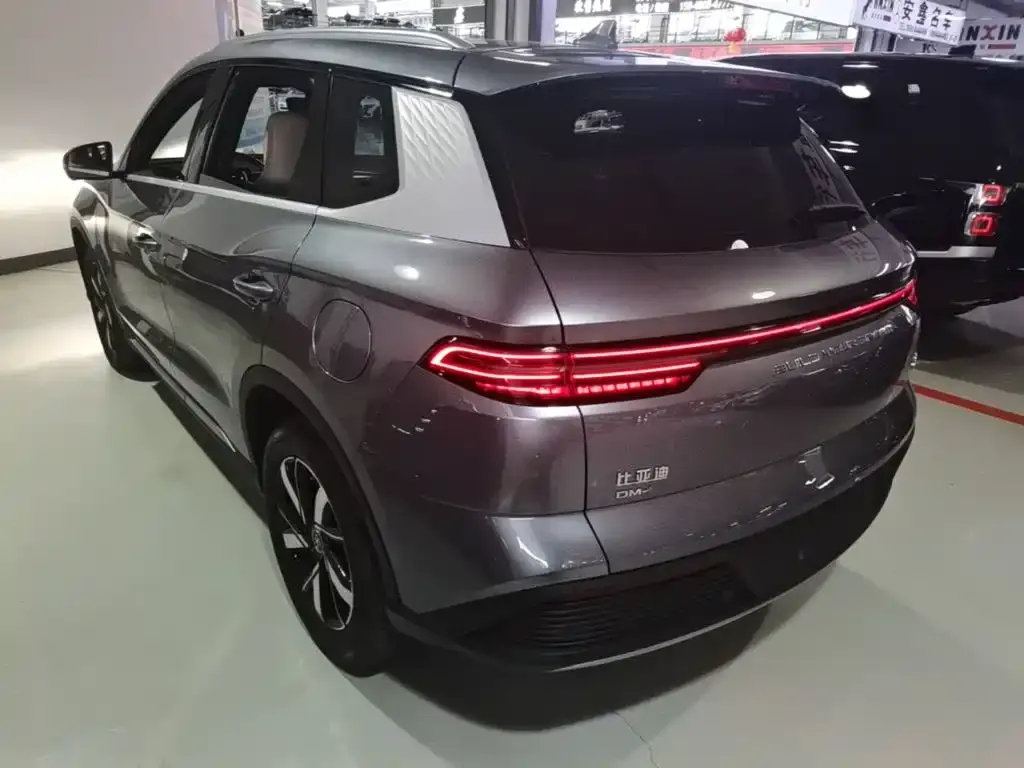 BYD Pro New Energy — фото 4