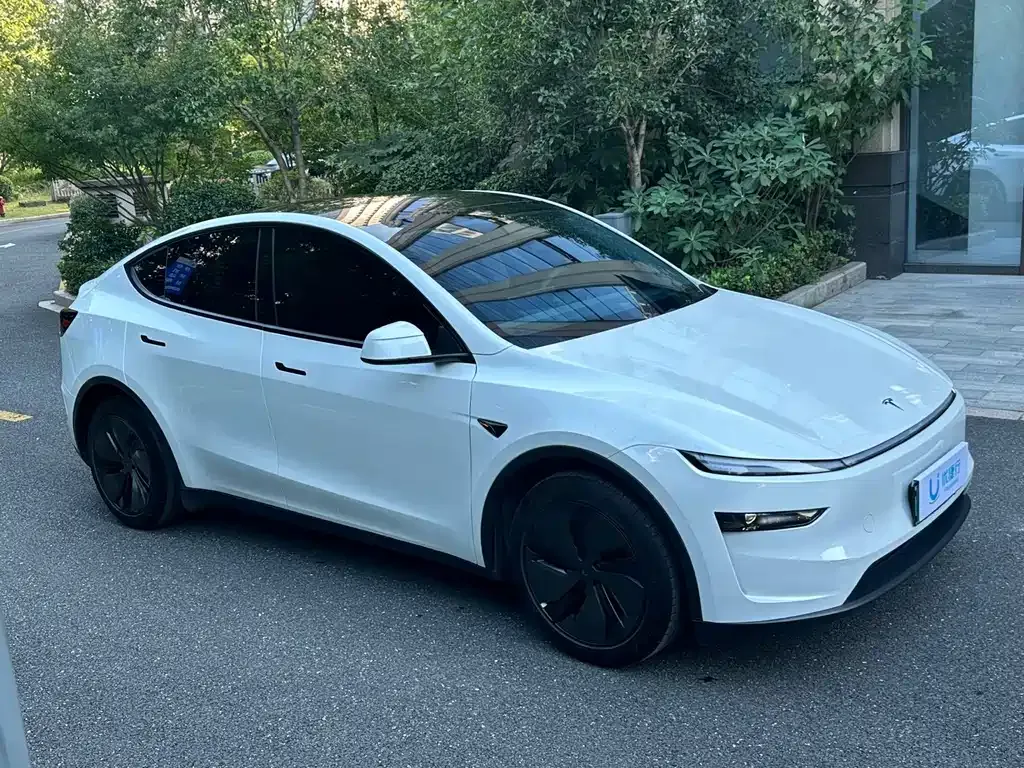 Tesla Model Y — фото 3