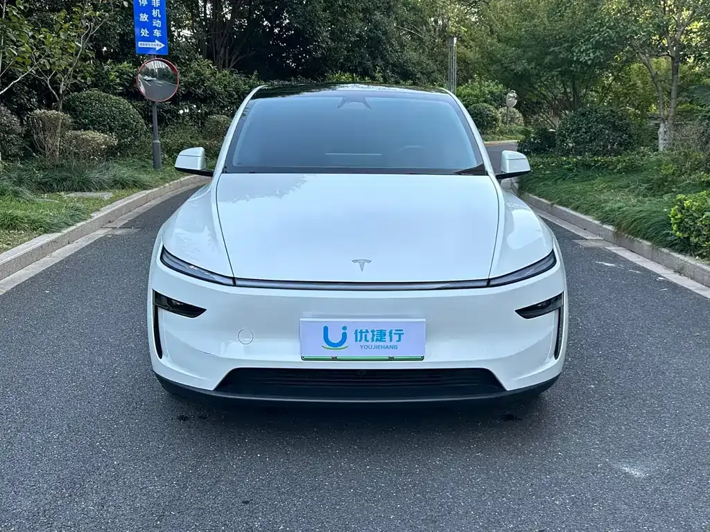 Tesla Model Y — фото 9