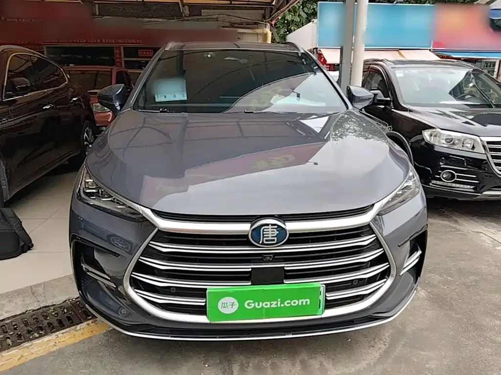 BYD Tang New Energy — фото 10