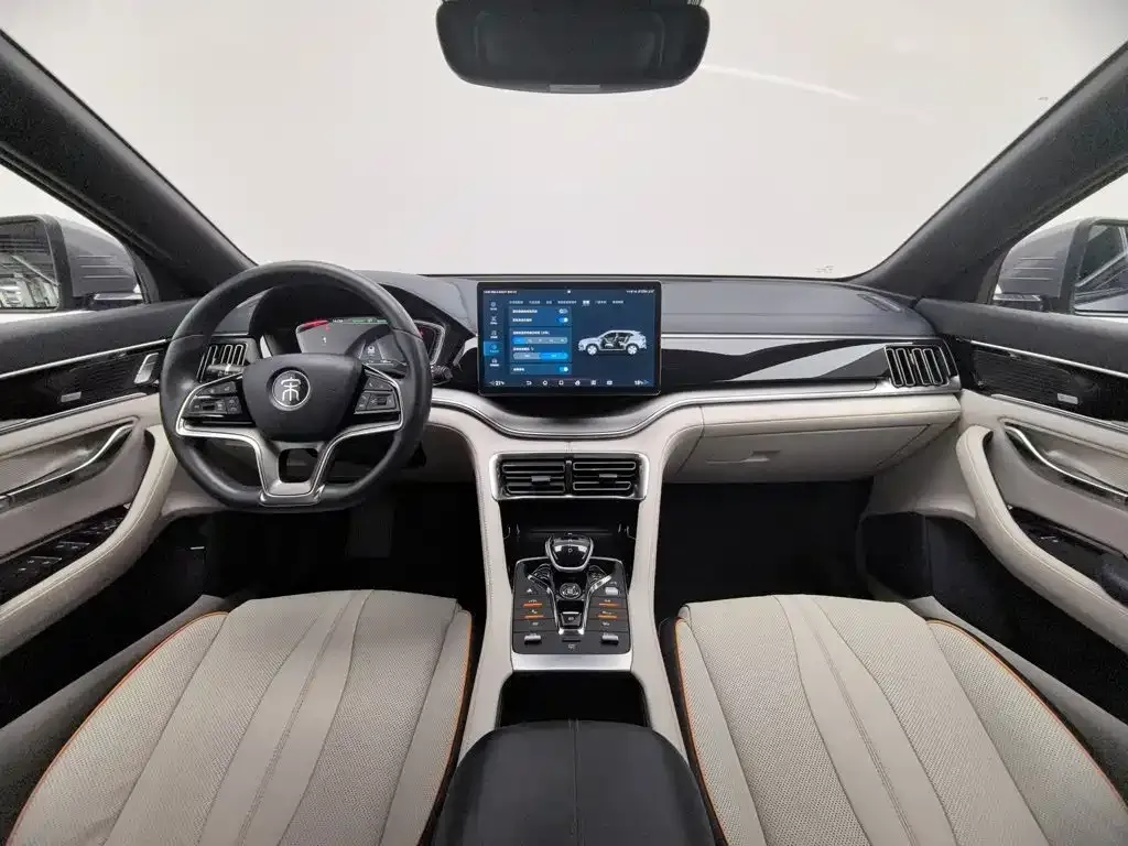 BYD PLUS New Energy — фото 7
