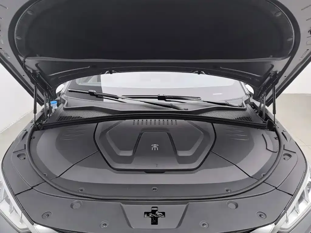 BYD PLUS New Energy — фото 10