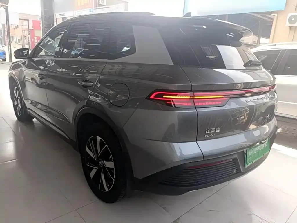 BYD Pro New Energy — фото 9