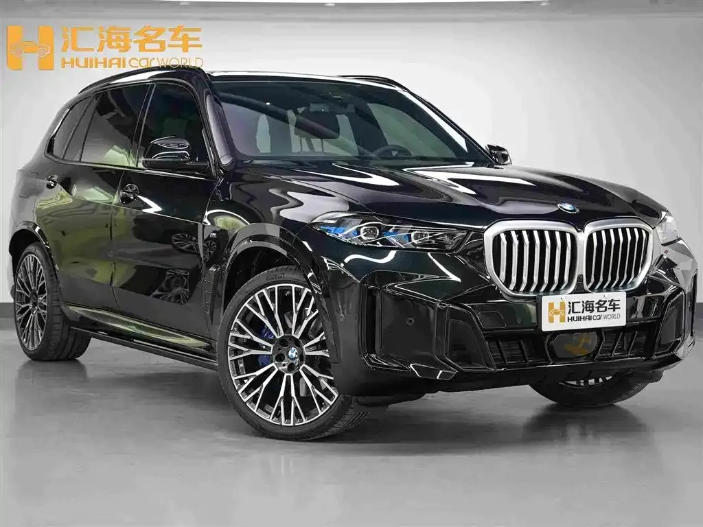 BMW X5 — фото 10