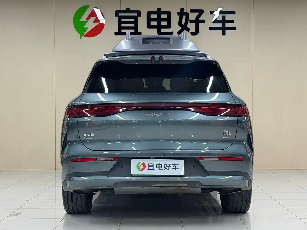 BYD Tang L — фото 2