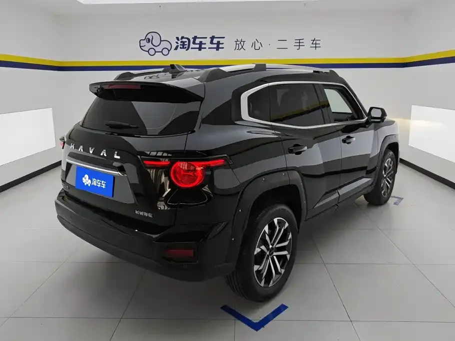 Haval Big Dog PLUS — фото 2