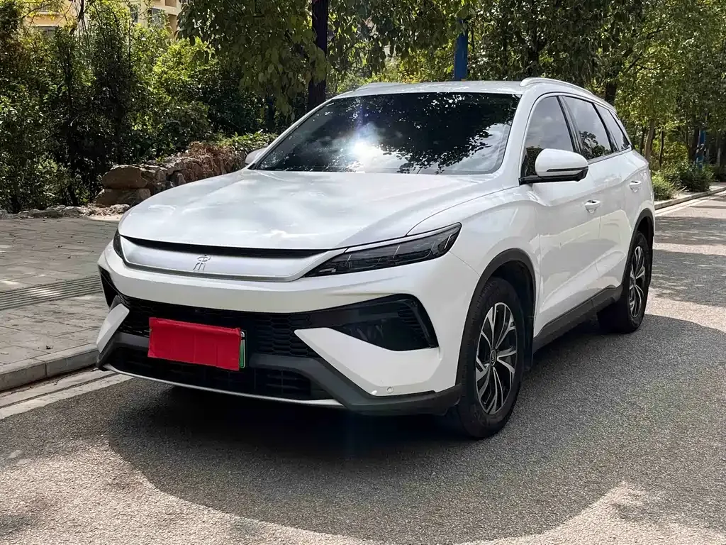 BYD Pro New Energy — фото 1