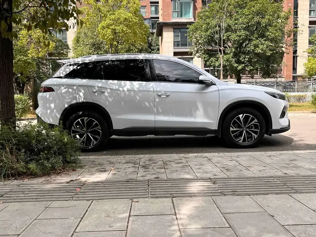 BYD Pro New Energy — фото 4