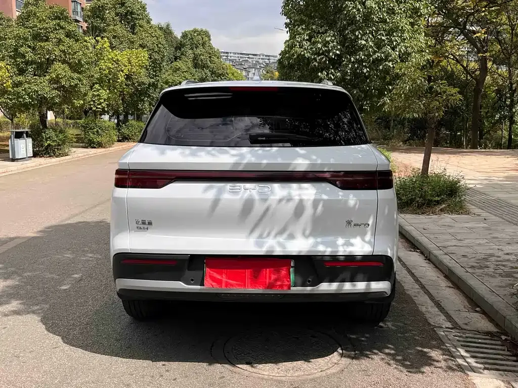 BYD Pro New Energy — фото 10