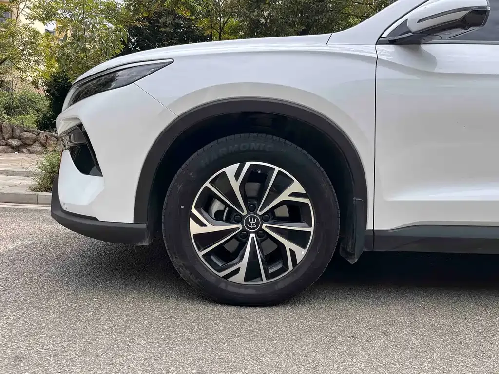 BYD Pro New Energy — фото 2