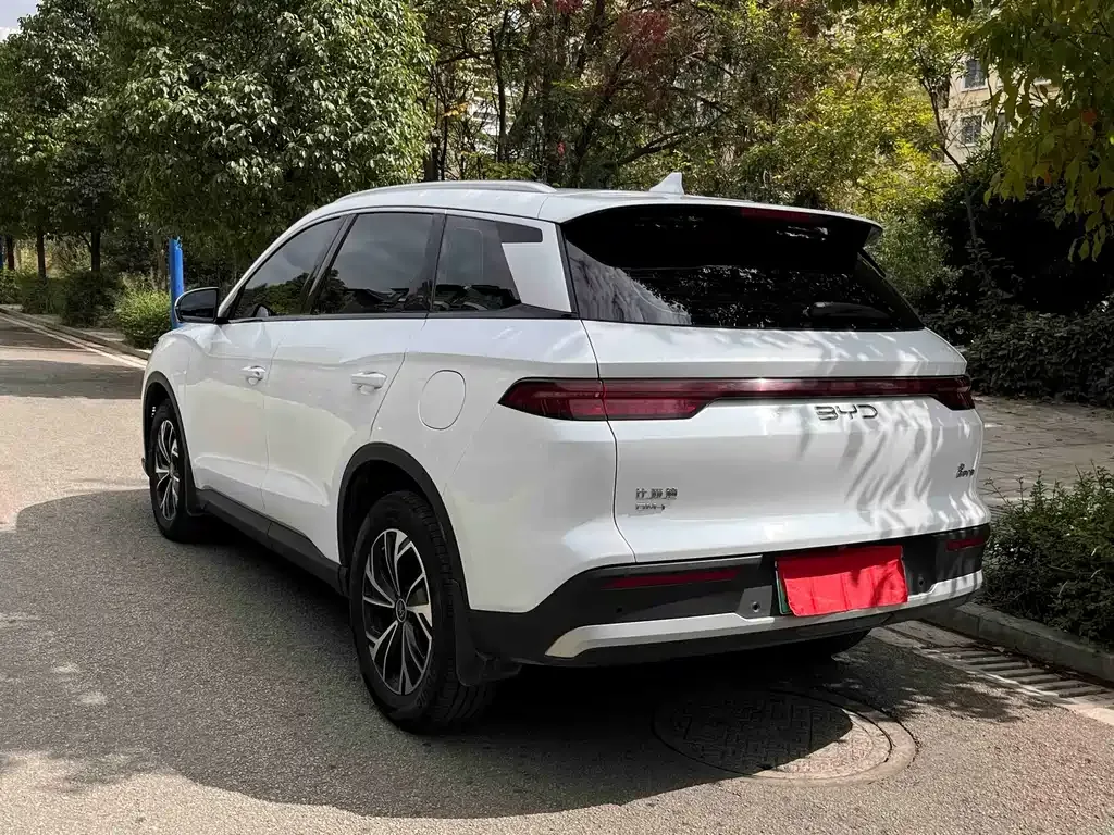 BYD Pro New Energy — фото 6