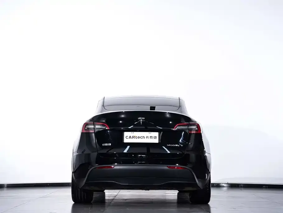 Tesla Model Y — фото 6
