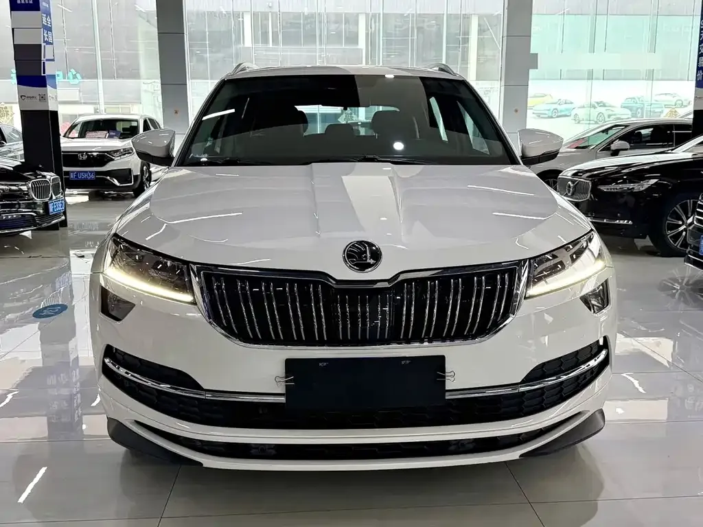 Skoda Karoq — фото 2