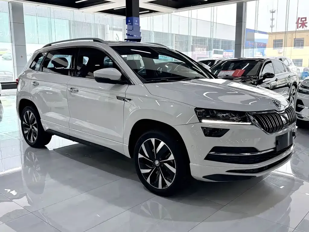 Skoda Karoq — фото 9