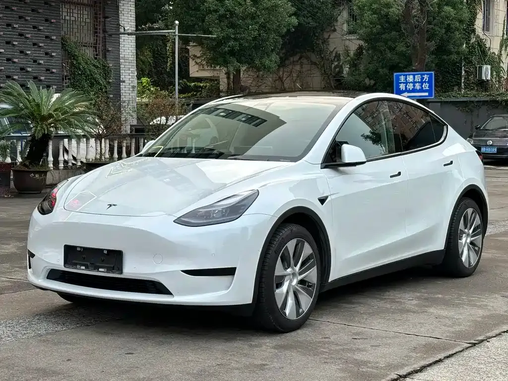 Tesla Model Y — фото 1