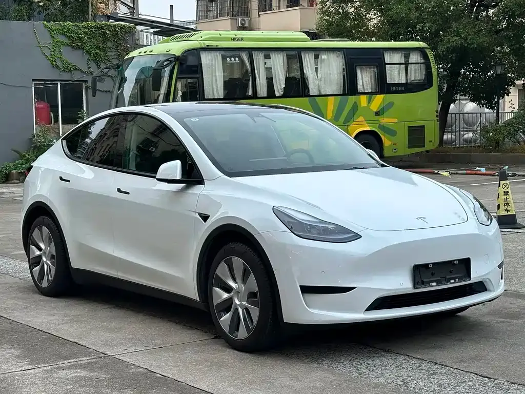 Tesla Model Y — фото 10
