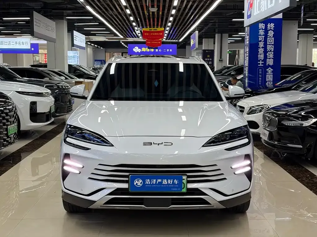 BYD PLUS New Energy — фото 6