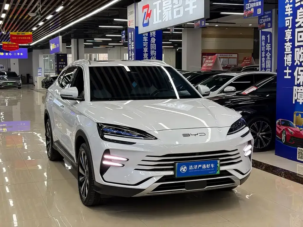 BYD PLUS New Energy — фото 8