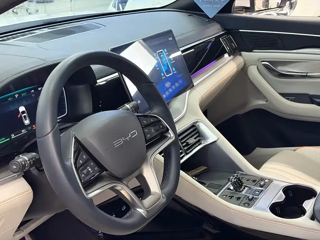 BYD PLUS New Energy — фото 4