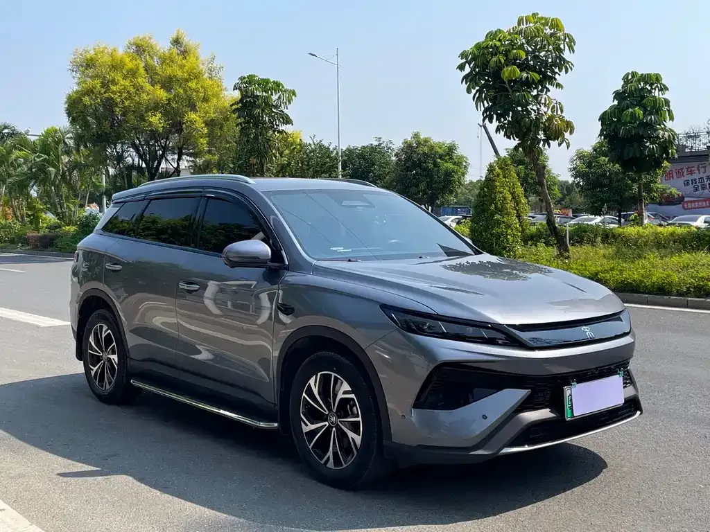 BYD Pro New Energy — фото 9