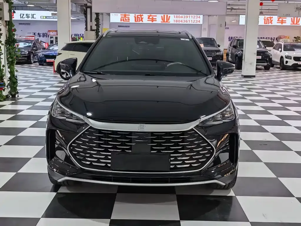 BYD Tang New Energy — фото 4