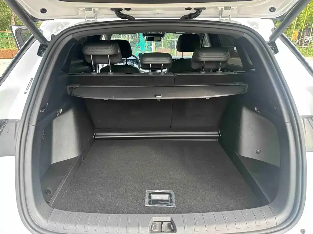 BYD L DM-i — фото 6