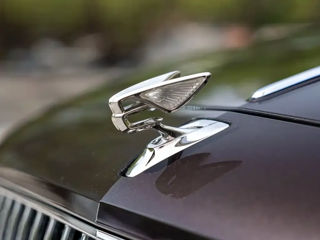 Bentley Flying Spur — фото 2