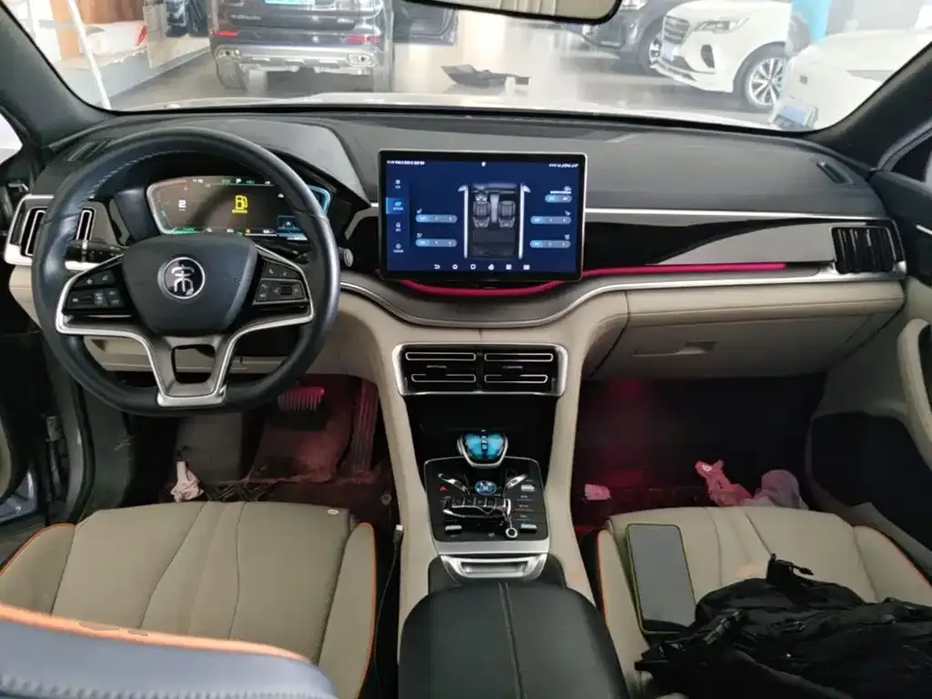 BYD PLUS New Energy — фото 6