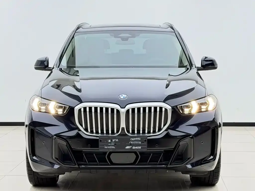 BMW X5 — фото 3