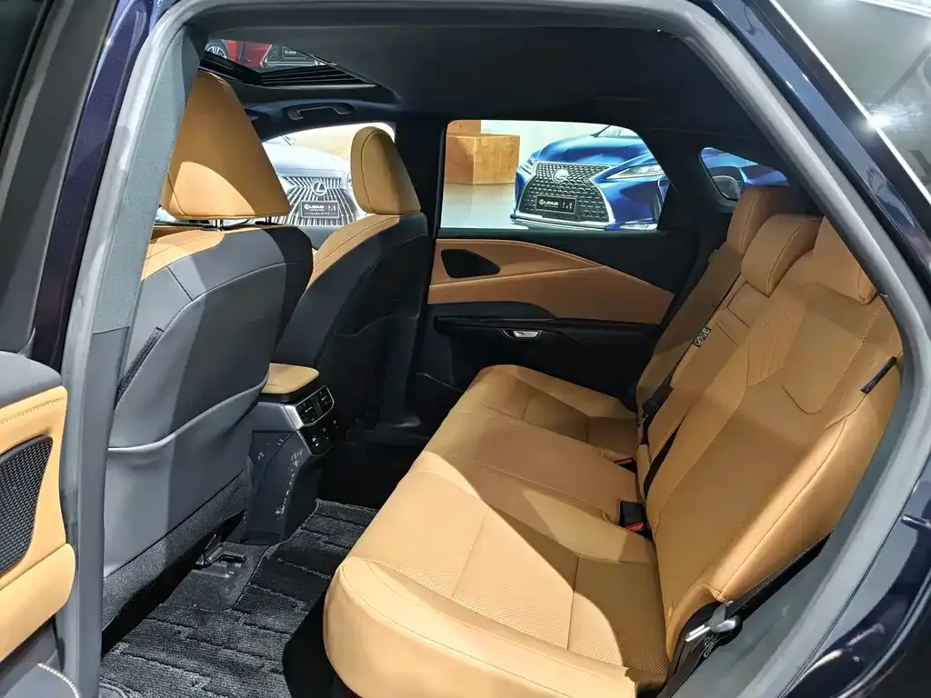 Lexus RX — фото 10