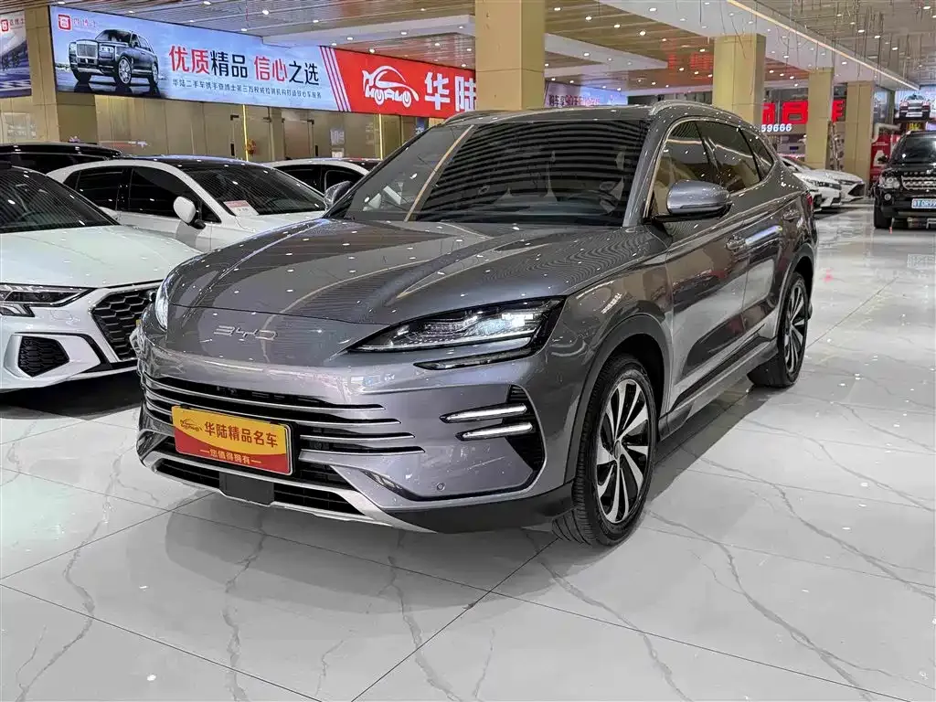 BYD PLUS New Energy — фото 1