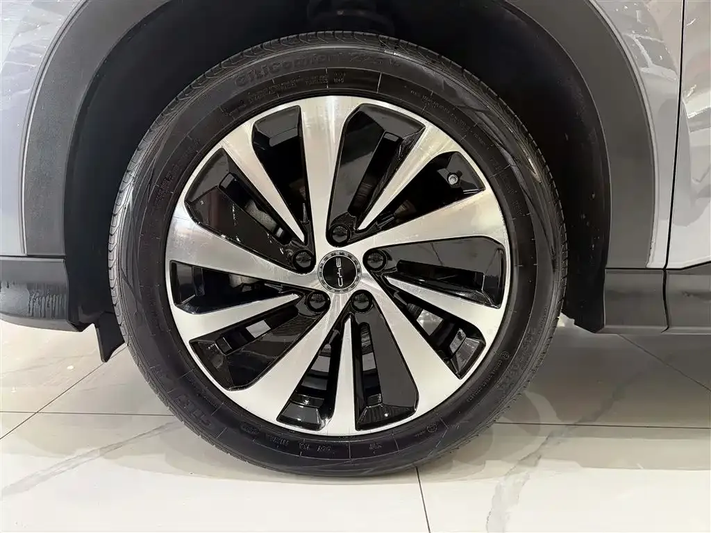 BYD PLUS New Energy — фото 2