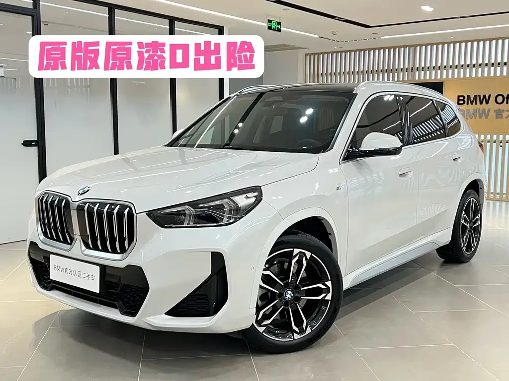 BMW X1 — фото 1