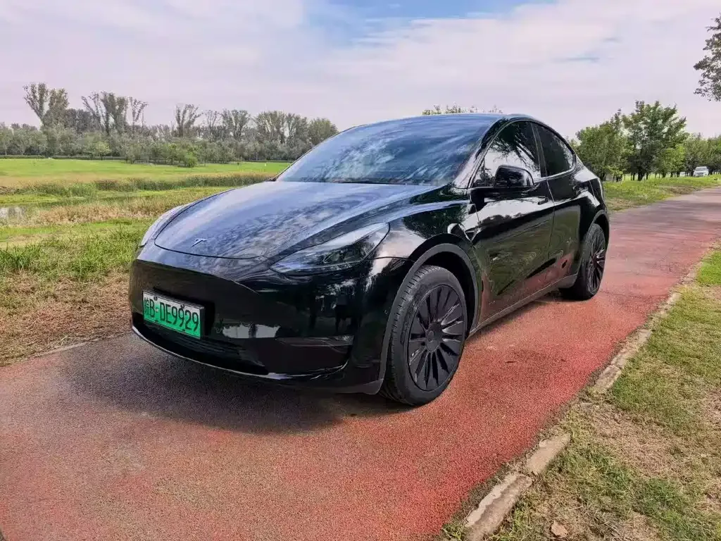 Tesla Model Y — фото 1